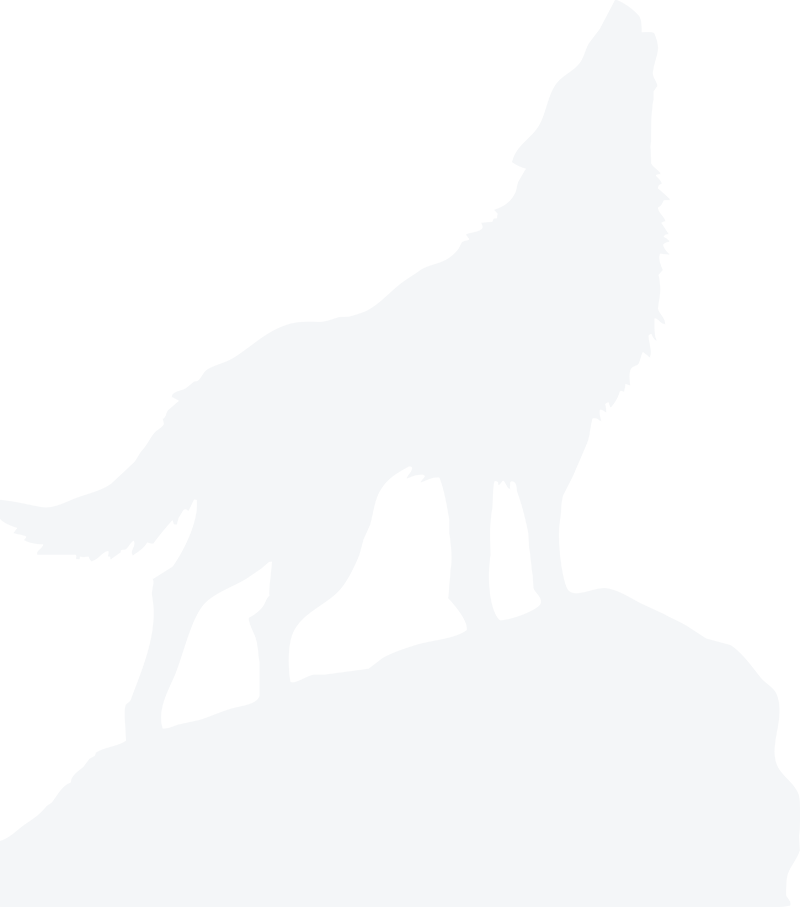 wolf graphic illustration